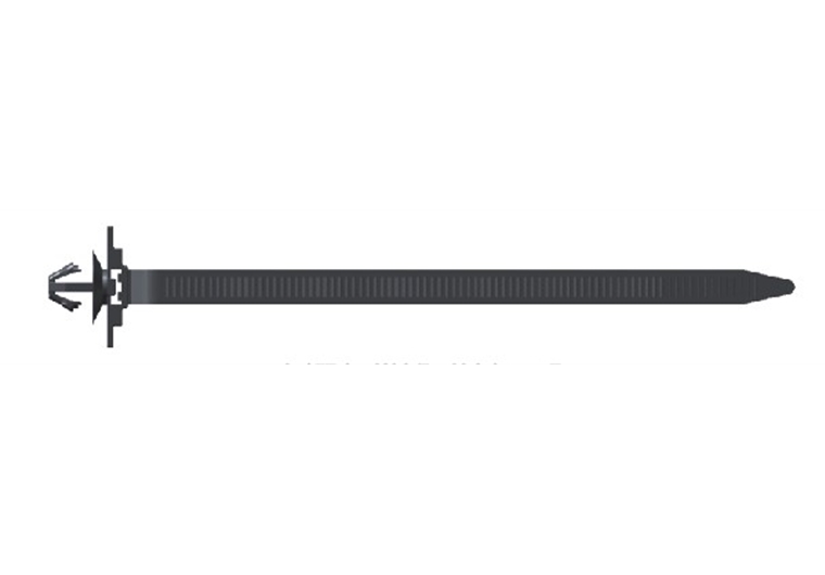 ZD-06