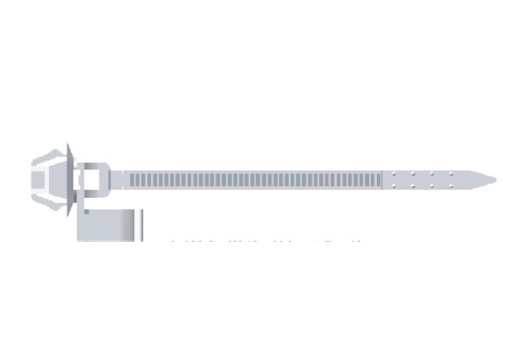 ZD-08